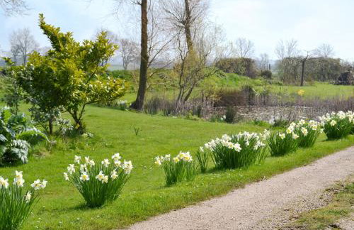 Honeypot Cottage - Photo 6