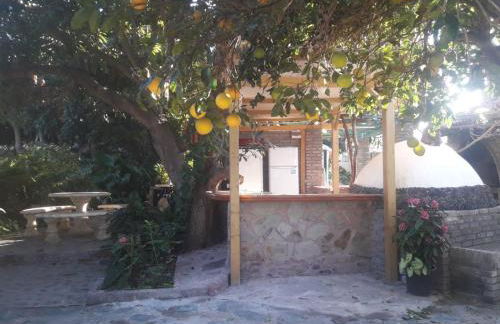 Finca LOS AGUACATES - Foto 10