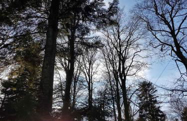 Ferienwohnung Urlaub mit Aussicht - Foto 26