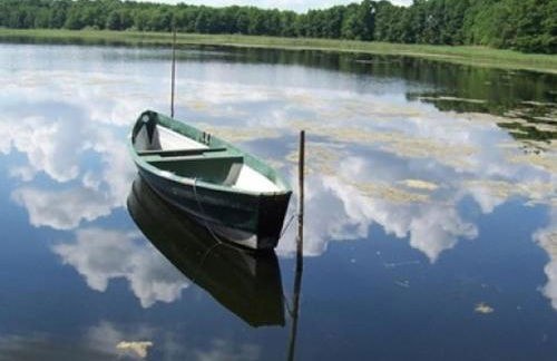 Ferienhaus am See mit Ruderboot - Photo 53