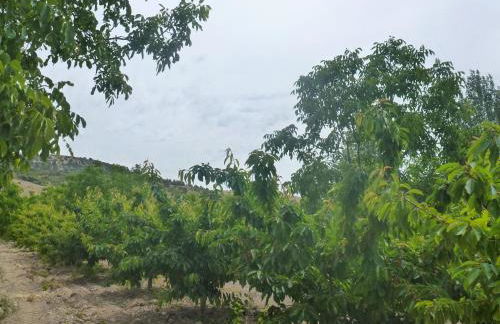 CASERIO INAZARES - CASAS DE MONTAÑA CON CHIMENEA Y NIEVe - Foto 23