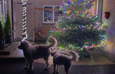 Annie Dee’s Guest Accommodation - Foto 19