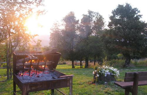 Fattoria Bio L'A Ceccoli - Foto 29