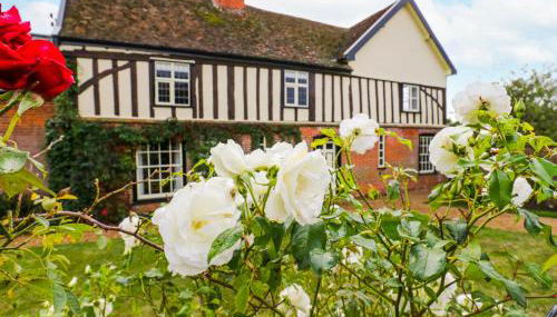 Knights Farm - Foto 2