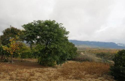 75 Avenida de la Rioja - Foto 22