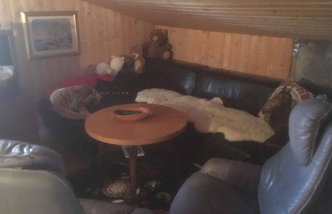 Holiday Home Sondre Hallangen - Foto 17