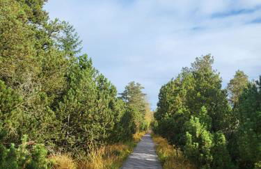 Appartement Herrlich - Foto 58