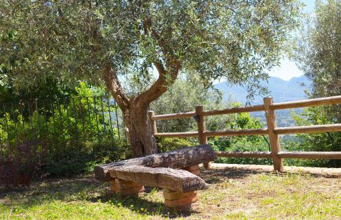 Dimora del Capriolo - Foto 16