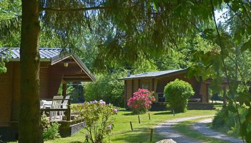 Heidegut Eschede Reitsportanlage und Feriendorf - Foto 4, Garden view