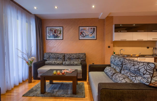 Vila Barović and Spa - Foto 23