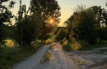 Romantik Unterkünfte Gut Rechetsberg - Foto 64