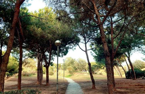 Confort apartamentos en playa, 3 DRM - Foto 46