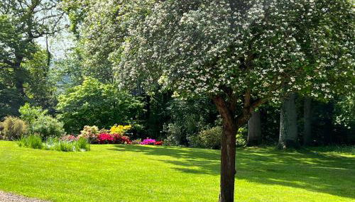 Paul's Farmhouse - Foto 5