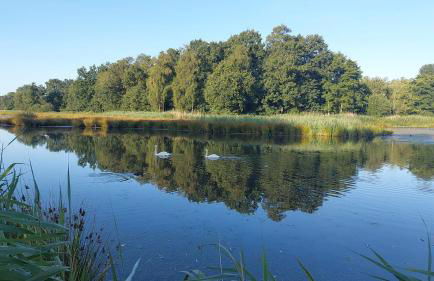 Helle Ferienwohnung in Nettetal bei Venlo - Foto 22