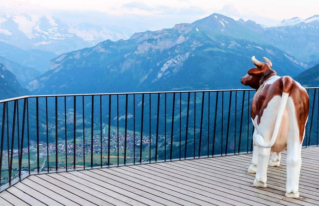 Funiculaire à Harder Kulm - Photo 8