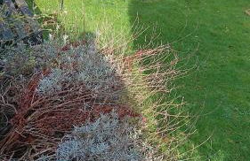 One Marine Place - Foto 28