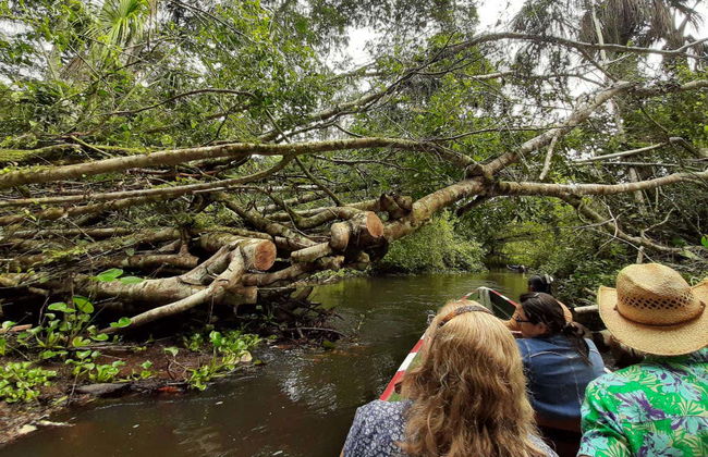Excursión a Santa Elena y Cuevas Palestinas - Foto 3