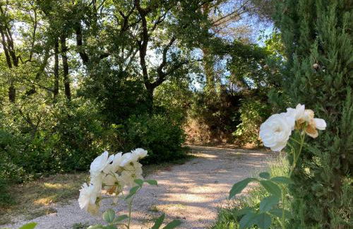 La Balouvière Villa entre Cévennes et Provence - Foto 12