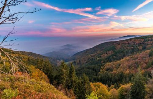 Altes Forsthaus - Fewo "Wiesental", privater "Spa" mit Sauna, Wanne und Relaxliegen, Todtnau - Foto 4