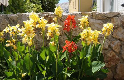 Mandy Apartman - Foto 6