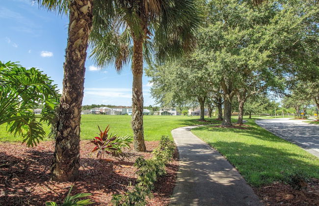 Aster Cove - Foto 52