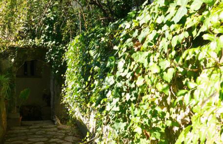 Casa dos Arrábidos - Foto 138