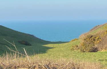 Le Mahonia - Foto 31