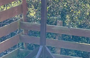 Coed Bach, Nr Rhosneigr, Anglesey (Pet Friendly) - Foto 20