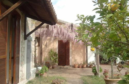 La Gabbianella e il Gatto - Foto 10