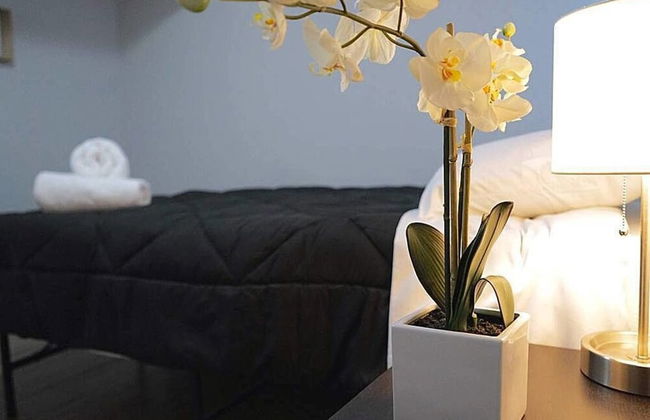 The Karlov Connection - Ohare Wrigley Gateway - Foto 6