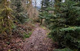 Maison RoMa, se ressourcer proche de Gerardmer et La Bresse - Foto 28