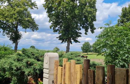 Mutti 's Landhof - Foto 43