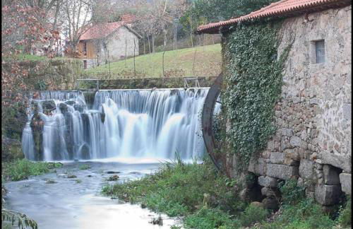 Casa da Caneleira Camélias de Basto - Foto 39