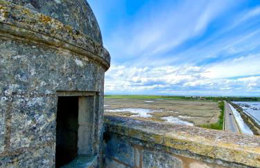 Studio pour deux avec terrasse aux portes de la Camargue - Foto 43