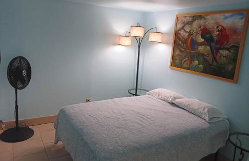 Diamond Head Beach Hotel - Foto 44