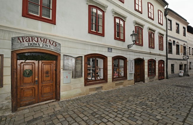 Downtown Apartments Český Krumlov - Foto 44