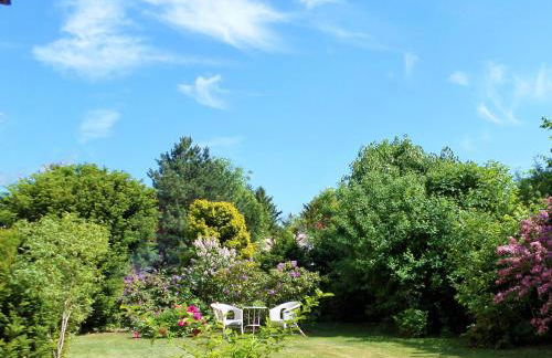 VILLA FREIA Dresden - Exklusive Ferienwohnung zum Erholen & Entspannen - Foto 5