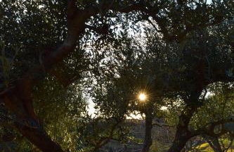 Apartman CASA MARŠIĆ - Foto 15