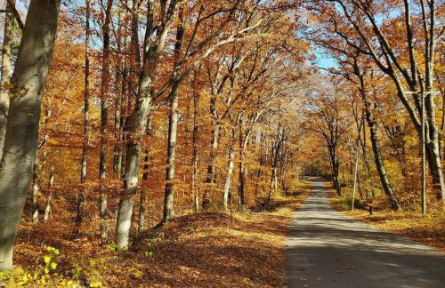 Woodshores Retreat - cozy retreat, hot tub, Lk MI - Photo 27