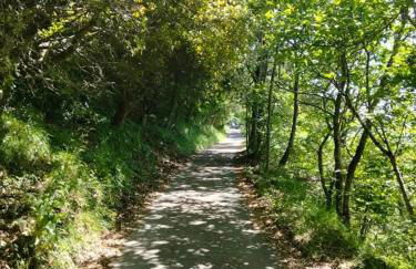 Rocca Fiorita - Casetta indipendente con giardino e parcheggio - Foto 23