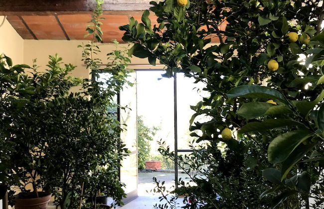 Il Pezzatino - Photo 73