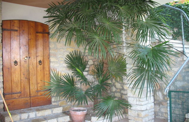 Villa Patrizia - Foto 33