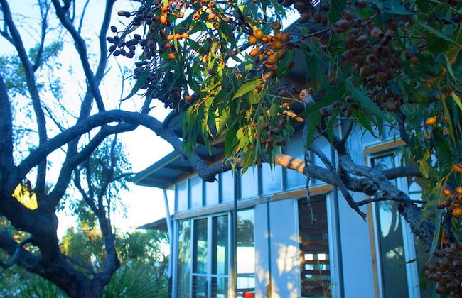 Sunrise at 1770 Holidays - Foto 80