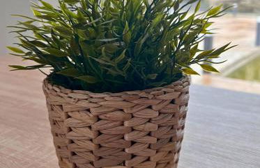 Lourença Stays - Quinta Lourenca - Foto 41