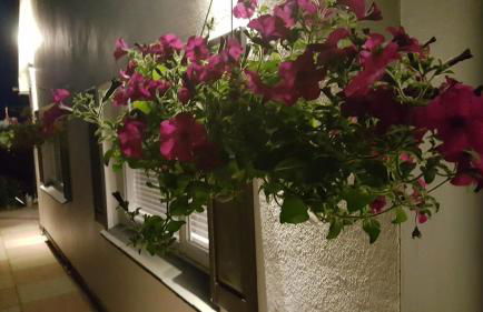 Looe Holiday Home Cornwall Sleeps 2 Self Catering No Pets - Foto 3