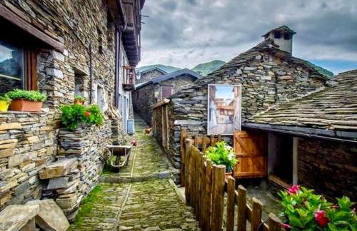 Il GLICINE - Foto 58