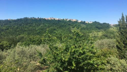 Casa Nicolangelo - Foto 3