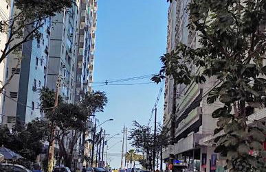 cantinho jardim - Foto 14