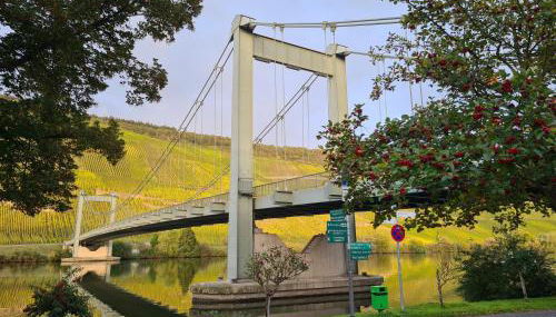 Sonnenufer Apartment & Moselwein I - Foto 2