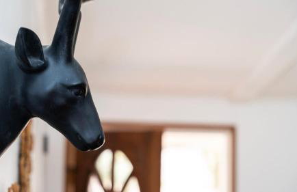 The Whispering Wind Tree - Foto 15